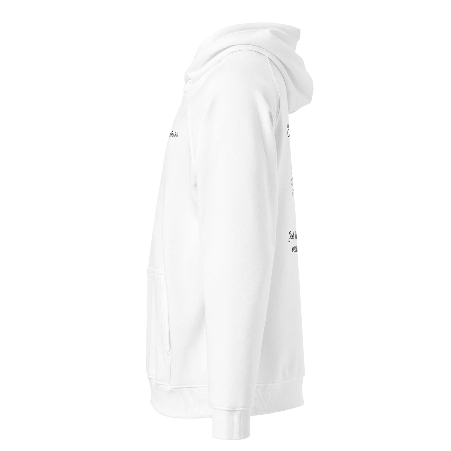 Ecclesiastes 3:11 Women’s Hoodie | God’s Timing, Beautiful Design - R. J. Cole Apparel