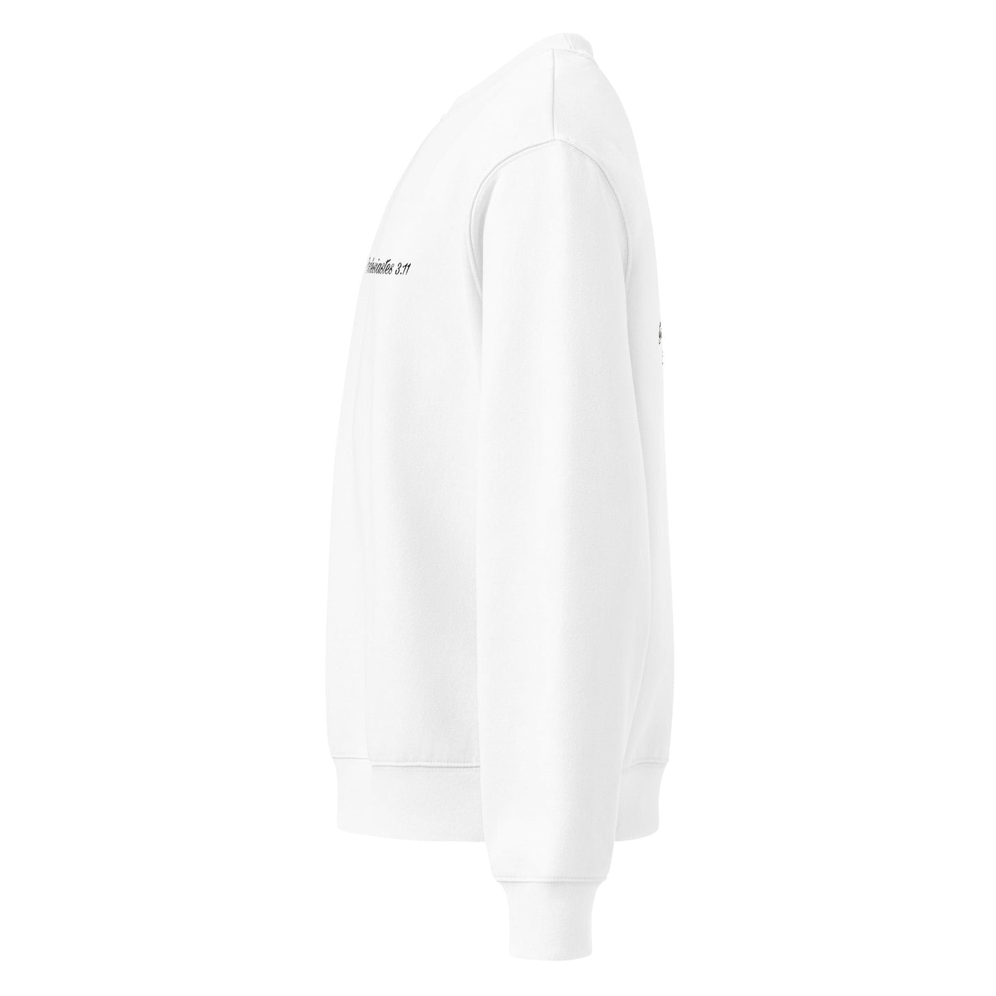 Ecclesiastes 3:11 Women’s Oversized Heavyweight Sweatshirt | God’s Timing, Beautiful Design - R. J. Cole Apparel